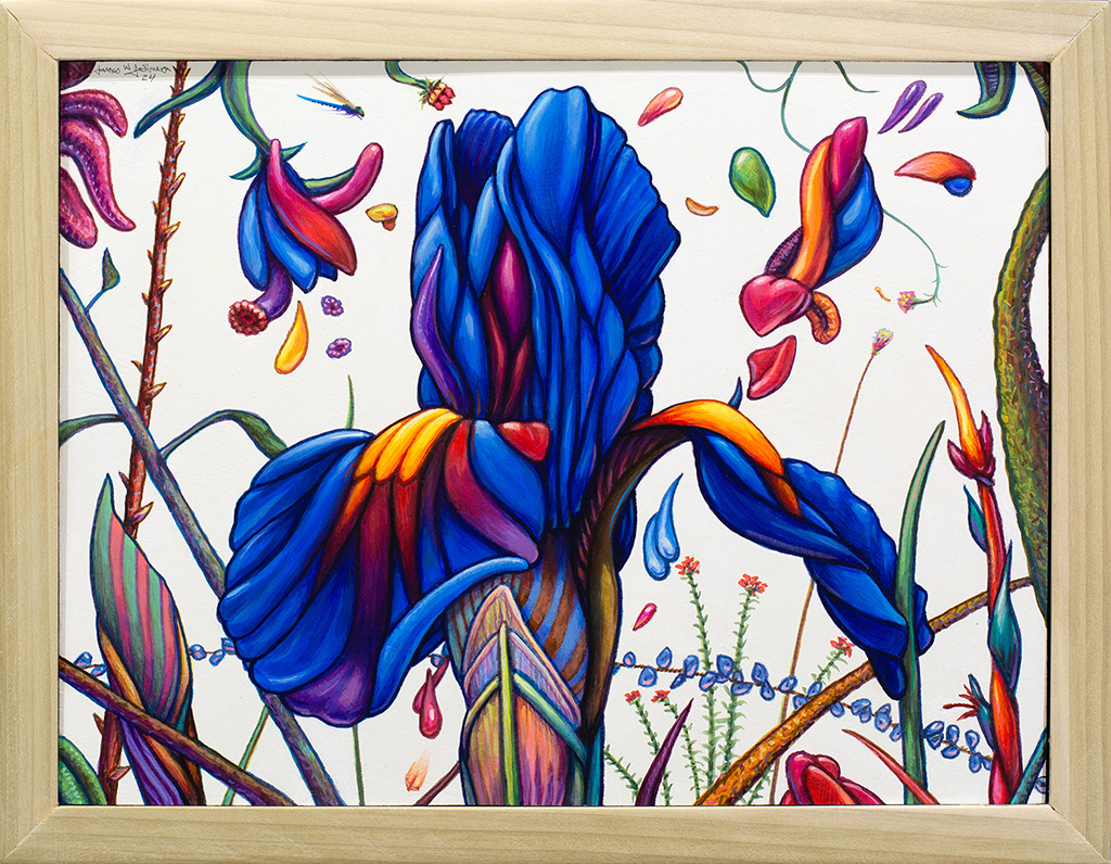 Blue Dutch Iris Interpretation with Dragonfly